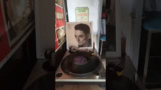 The Lotus Eaters  German Girl New Wave  SynthPop  Electronic 1984Tara Sounds Tayo [upl. by Lovash799]