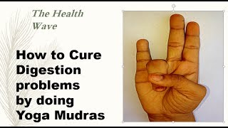 How to Cure Digestion problems by doing Yoga Mudras [upl. by Alyad]