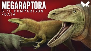 MEGARAPTORA Dinosaurs size comparison and data [upl. by Agon]