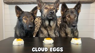 3 German Shepherds Review Foods [upl. by Ahsekin]