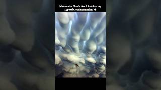 Mammatus clouds are a fascinating ☁️ mammatusclouds facts shorts [upl. by Tyoh]