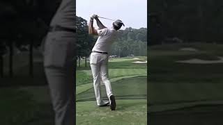 Cameron Tringale Iron Swing DTL youtubeshorts shorts pgatour golf trending golfshorts [upl. by Olodort567]