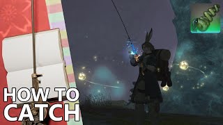 How to Catch Lopoceras Elegans in FFXIV The quotPasta Fishquot [upl. by Sankaran]