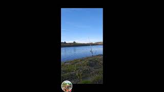 Fishing ● Patiently waiting  Alberta Canada 🇨🇦 subscribe Canada trending asmr Relaxing yt [upl. by Sairu367]