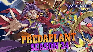 Predaplant Against META  YuGiOh Master Duel Season 34 🌿 [upl. by Eaver164]