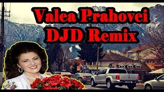 Irina Loghin  Valea Prahovei DJD Remix 2018 for NonCommercial Use [upl. by Whittaker]