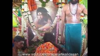 Sakkadai siddhar jeeva samadhi  sakkadai siddharsakkadai siddhar mandala poojai Video [upl. by Annoed]