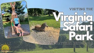 Visiting the Virginia Safari Park in Natural Bridge VA [upl. by Pihc]