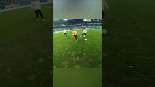 Satisfying World Cup stadium pass game eye view [upl. by Anilehs485]