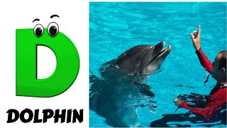 Sea Animals ABC Song for Kids  Phonics for Kids  Alphabet Letters [upl. by Akiwak]