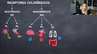 Receptores Colinérgicos [upl. by Eussoj860]