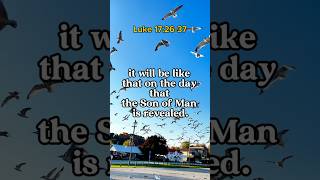 Gospel for today Luke 172637 gospelfortoday dailygospel shorts [upl. by Aihsia]