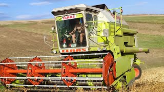 Продам CLAAS DOMINATOR 86 [upl. by Holmes430]