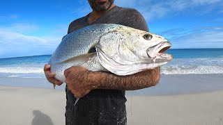 Mulloway Fishing From The Beach Perth Western Australia [upl. by Thanos239]