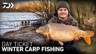 WINTER CARP FISHING at LINEAR FISHERIES  JACKS VLOG  Daiwa Carp [upl. by Gyatt811]