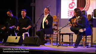 Caracolillo de Cádiz 43º Partía Flamenca de Benamejí Córdoba [upl. by Namsu]