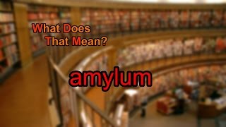 What does amylum mean [upl. by Kenward]