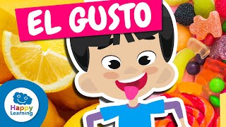 CURIOSIDADES DEL GUSTO  Curiosidades Para Niños  Happy Learning 👅😋😛 [upl. by Arraik]