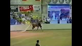 14 Time World Champion Speed Racking Horse quotSpeckquot [upl. by Amlas]