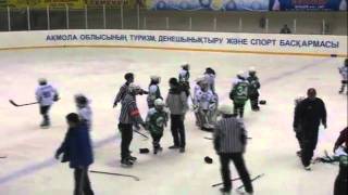 Best kids under 10 mass hockey fight [upl. by Shifra592]