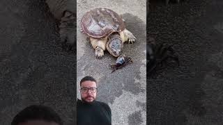 De lenta não tem nada 🐢 [upl. by Johannes]