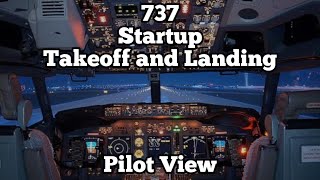 737 Startup Takeoff and Landing  Pilot View [upl. by Nysa36]