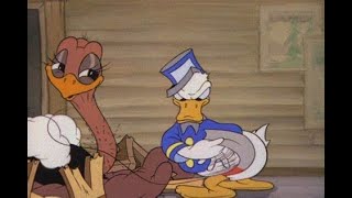 Donald Duck Donalds Ostrich Donald Duck Bellboy Donald Classic Cartoon Compilation [upl. by Howie]