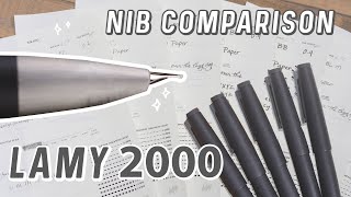 Lamy 2000 Nib Comparison [upl. by Peckham117]