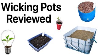 6 Wicking Pots Reviewed [upl. by Beuthel]