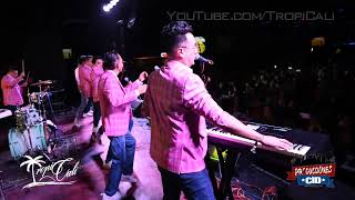 Donde Estas  Alcalde La Sonora en vivo desde Leonardos Night Club tour 2024 [upl. by Hseyaj265]