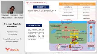 ANEMIA HEMOLÍTICA  HEMATOLOGÍA  VILLAMEDIC [upl. by Haland]