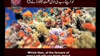 Surah Ar Rehman n° 55 Urdu amp English Translate By Qtv [upl. by Idoc]