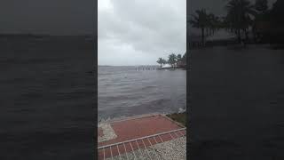 Olearys Sarasota FL Storm [upl. by Ferretti]