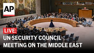 LIVE UN Security Council meeting on the Middle East [upl. by Oivaf]