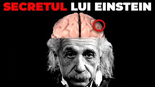 Adevarul Despre CREIERUL Lui Albert EINSTEIN [upl. by Rosemonde]