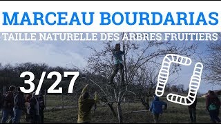 327  MBOURDARIAS  Taille Naturelle des Arbres Fruitiers  Un Système de Tuyauterie [upl. by Naman]