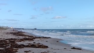 Live Webcam View  Cocoa Beach Pier [upl. by Radburn53]