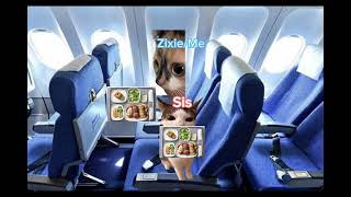 POV  my ✨Cat✨ Holiday at The Airport in Singapore [upl. by Heim]