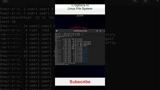 linux redhat tutorial  ls Options redhat redhatlinux linuxtutorialforbeginners [upl. by Hyacinthia958]