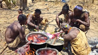 Hadzabe Tribe Hunt KlipSpringer For LunchHunters Ways Of Life [upl. by Fairfax]