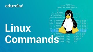 Linux Commands  Command Line Basics  Linux Certification Training  Edureka [upl. by Nylasoj]