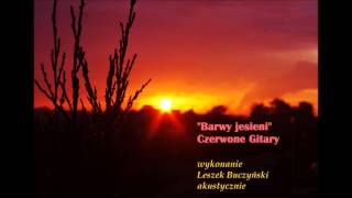 BARWY JESIENI Czerwone Gitary cover Leszek Buczyński  gitara basowa Tadeusz Linowski [upl. by Amil882]