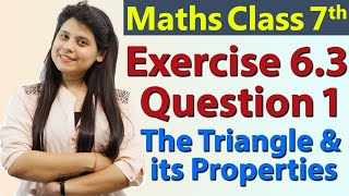 Q 1 Ex 63  The Triangle and its Properties  Chapter 6  Maths Class 7th  NCERT [upl. by Tiler]