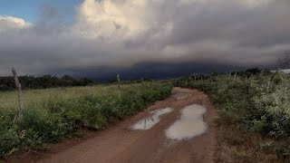 Chuva boa no Nordeste Chuva no Sertão Nordestino [upl. by Elenahc]