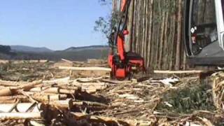 SP 591 LX on Hitachi Zaxis 200  Eucalyptus debarking in Howick South Africa [upl. by Zohar927]