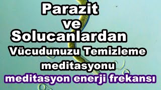 Parazitlerden Kurtulun  Binaural  Isochronic  Enerji Frekansı [upl. by Ekyt]