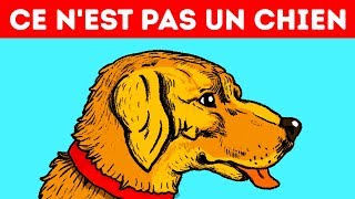 11 Illusions D’optique Qui Vont te Piéger [upl. by Rehprotsirhc]