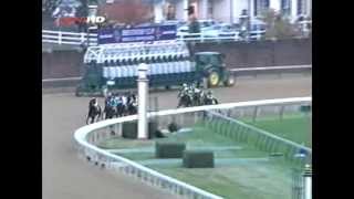 2006 Breeders Cup Classic  Invasor  Post Race [upl. by Nyasuh]