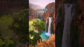 📍Havasu Falls Grand Canyon Arizona🇺🇸 SUBSCRIBE LIKE COMMENT and SHARE [upl. by Kuhlman]