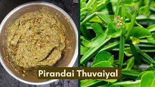 Pirandai Thuvaiyal  Thuvaiyal recipe  Healthy dish  Sidedish  Adamant Creeper [upl. by Bondie885]